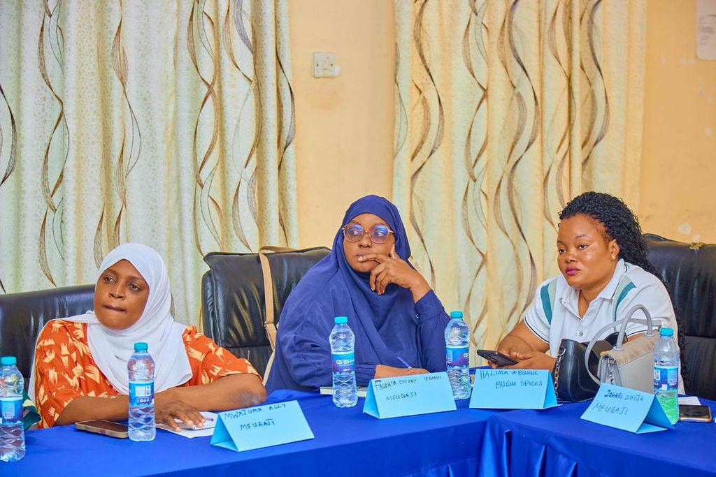 Boosting Youth Entrepreneurship for Job Creation and Sustainable Future Project